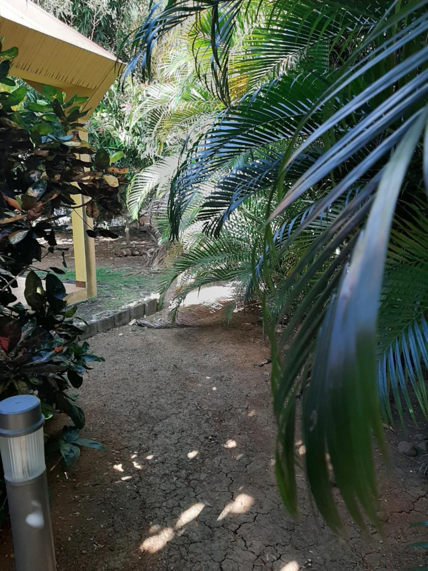 Residence De Vacances Mon Refuge - Bungalow De Type T3 Grande Anse Exterior foto